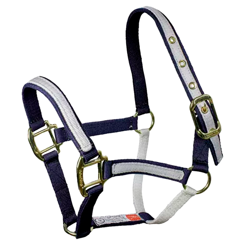 Almartigón Bicolor Americano para Caballo