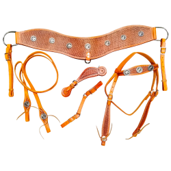 Kit texano para caballo