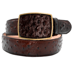 Cinturón Imitación Exótico...