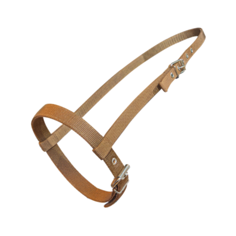 Cabezada de frente con ahogador para caballo