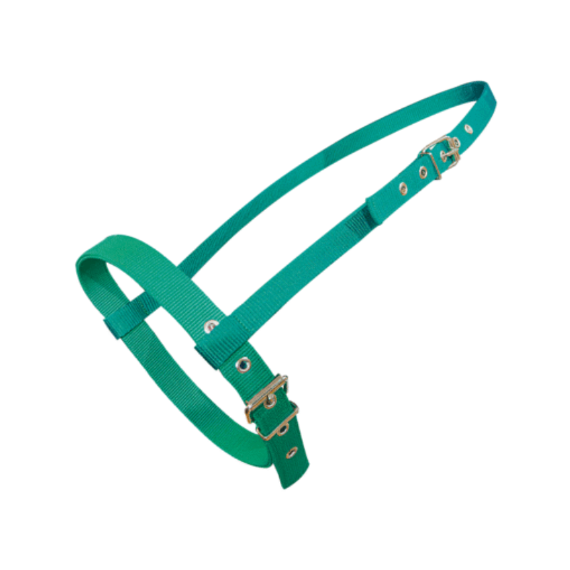 Cabezada de frente con ahogador para caballo