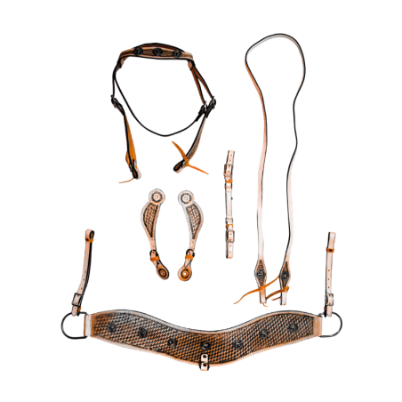 Kit Texano para Caballo en Vaqueta Artesanal con Herrajes