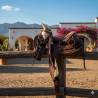 Montura para caballo de vaqueta cola de pato con asiento forrado infantil