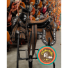 Montura para Caballo Cola de Pato de Lona con Cantinas