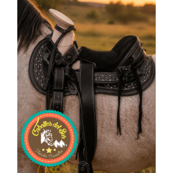 Montura para Caballo de Vaqueta Cola de Pato con Asiento
