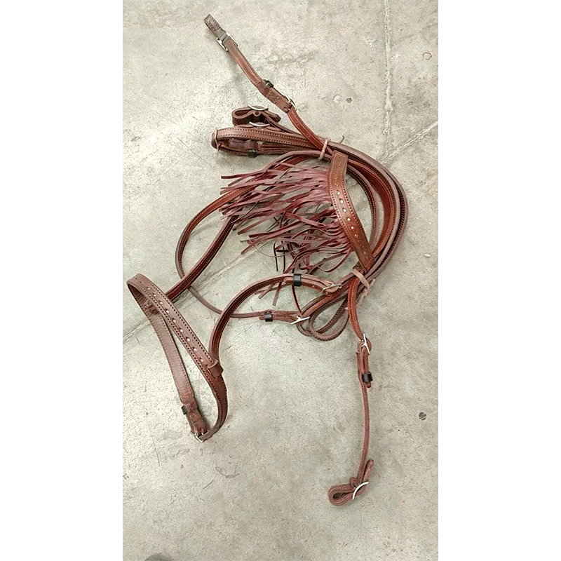 Brida de vaqueta con rombos y mosquero para caballo Estilo y resistencia