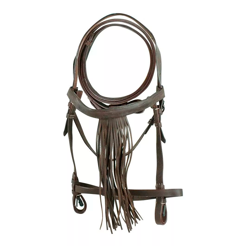 Brida española con mosquero de piel y rienda para caballo